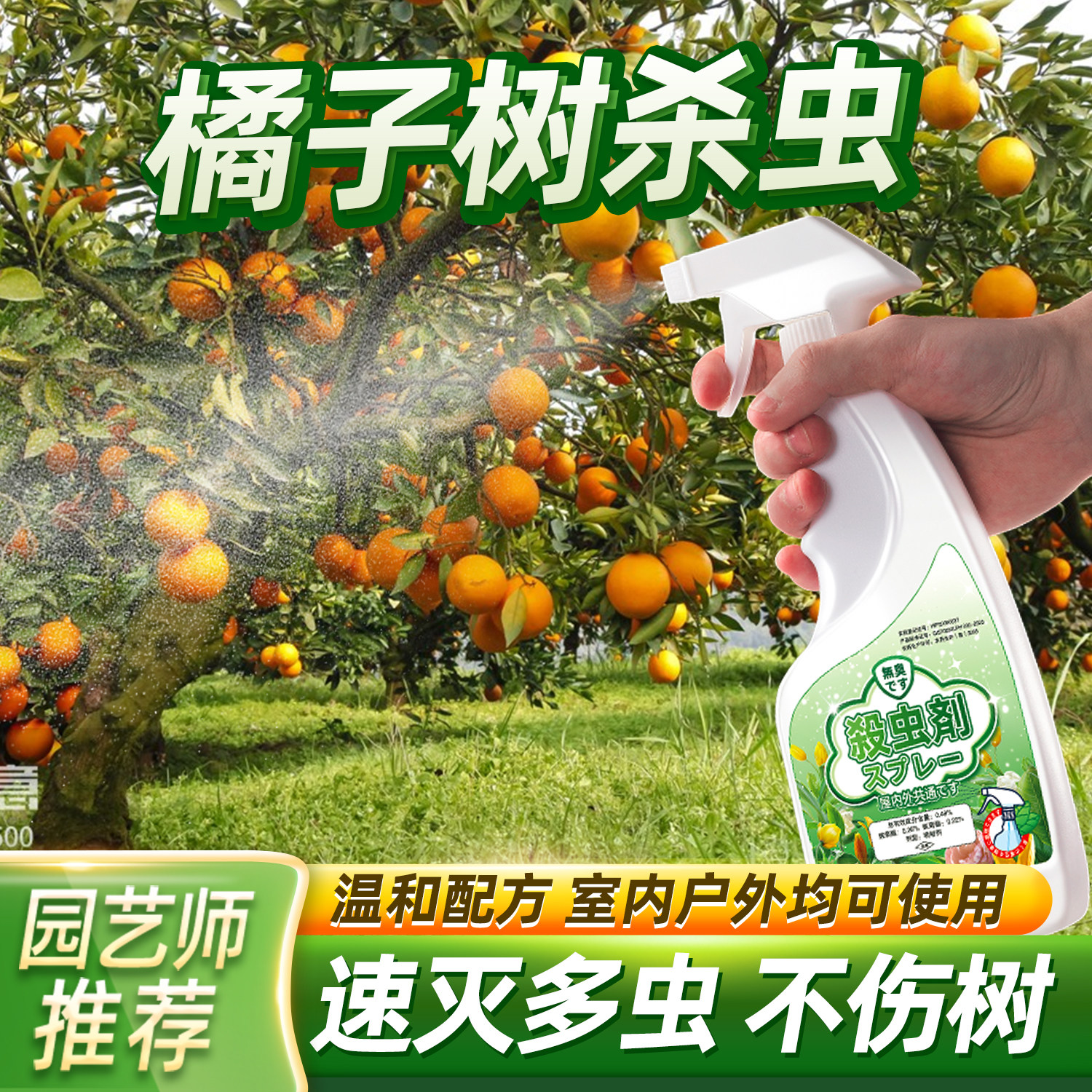 治桔子树打虫药金桔驱虫柑橘树杀虫橘子树长虫桔树佛手柑除虫药生