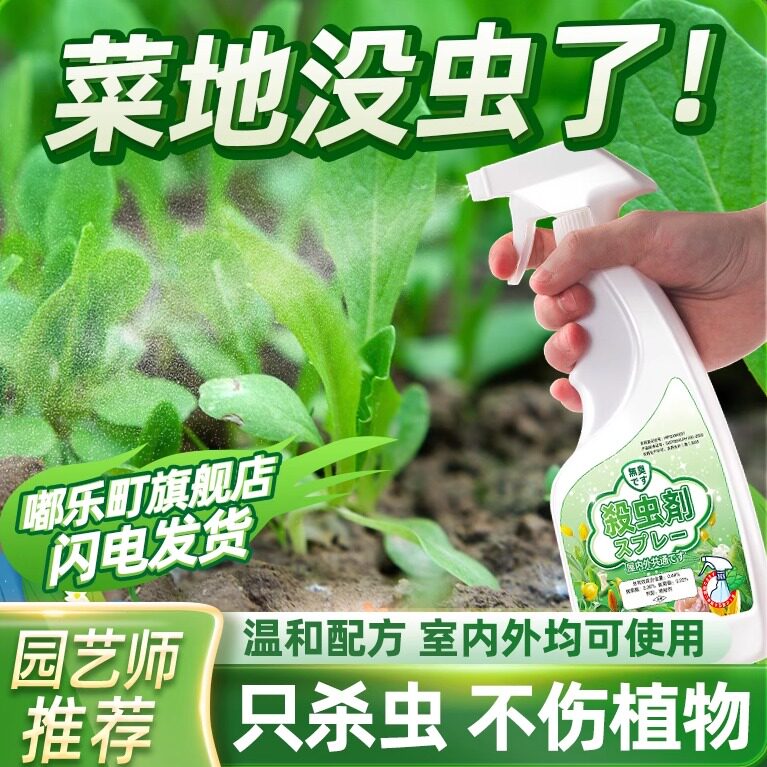 打菜药水菜园蚂蚁药蔬菜专用喷菜地长虫子驱虫杀青菜杀虫剂非农药