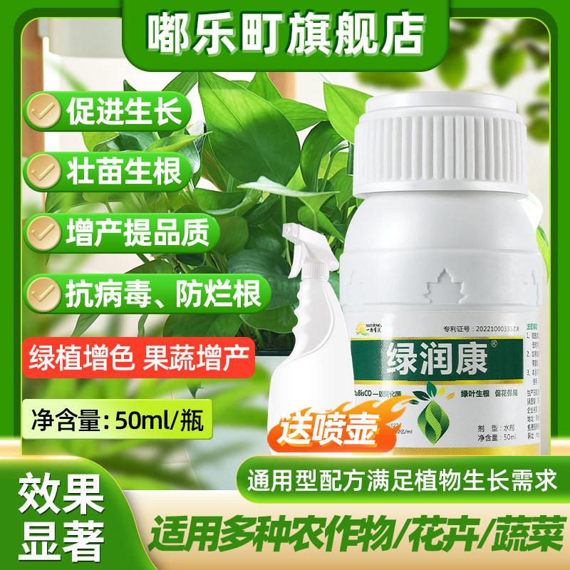 绿萝营养液专用肥料家用植物盆栽吊兰水培通用型绿箩营业液叶面肥