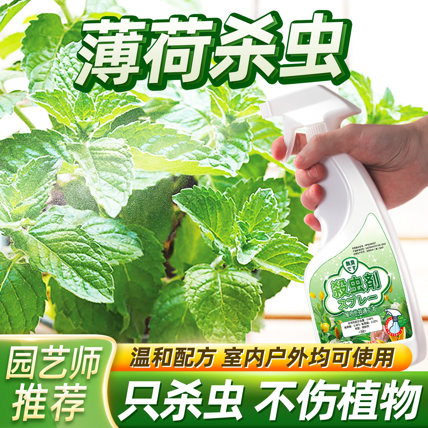 薄荷杀虫剂叶驱虫除虫白粉病药长虫防虫去小白虫蚜虫飞虫白粉虱生