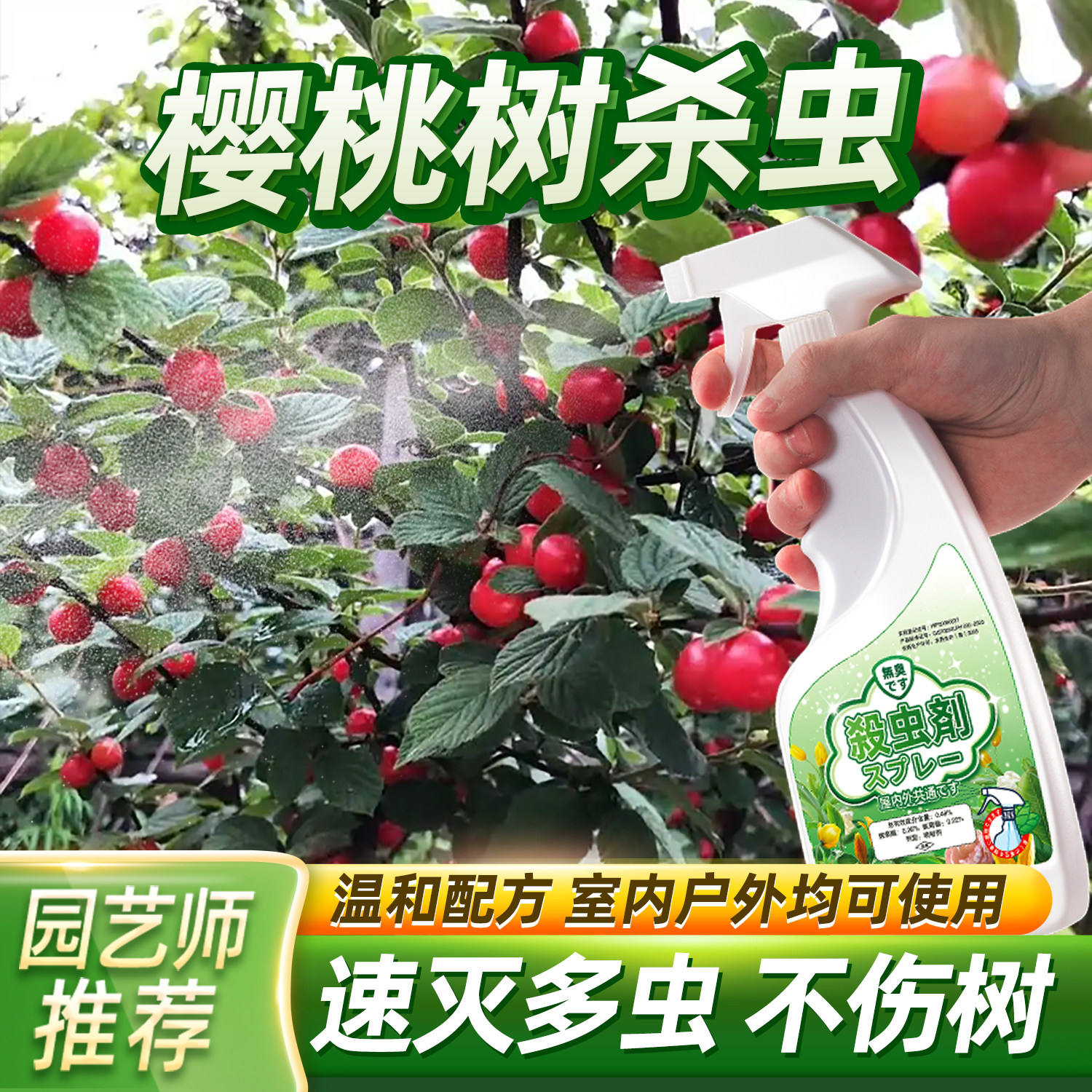 车厘子虫药樱桃树驱虫树虫药钻心虫果蝇虫子蚧壳虫生虫用药病虫害