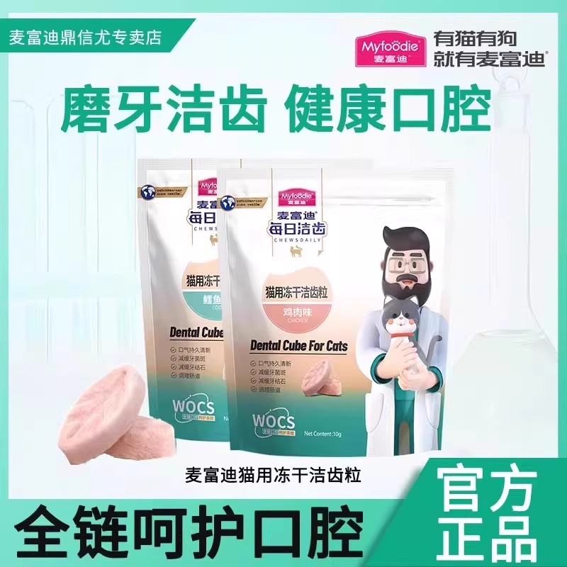 磨牙洁齿 健康口腔