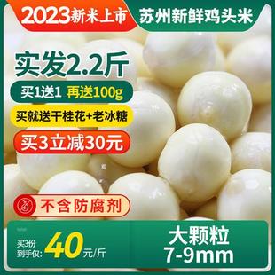 多送100g 9mm鸡米头非手剥 十善村大颗粒鸡头米新鲜苏州2023芡实7