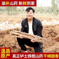 土寨铁棍山药河南焦作温县新鲜淮山药正宗垆土怀山药特产铁杆山约