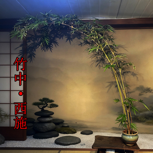 精品大型高杆飘枝红观音竹庭院室内茶室桌面水培造景四季绿植盆栽