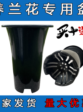 黑色塑料盆 兰花草专用盆 无侧孔蝴蝶兰花盆君子场兰园种植盘透气
