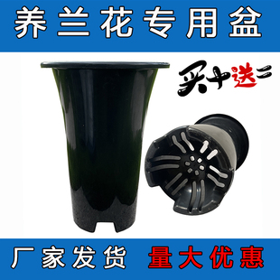 黑色塑料盆 兰花草专用盆 无侧孔蝴蝶兰花盆君子场兰园种植盘透气
