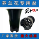 黑色塑料盆 无侧孔蝴蝶兰花盆君子场兰园种植盘透气 兰花草专用盆