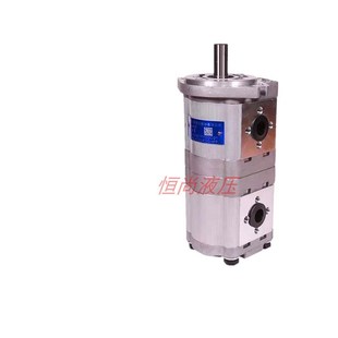 E306 E30x8 E310 新款 AFPL E316 E320 CFHL齿轮油泵现货 CBWL