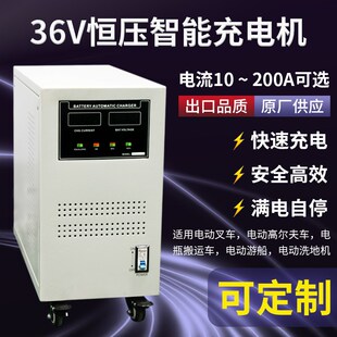 智能充电机36V电流10 电动游览W车等专用充电器 200A汽车电瓶