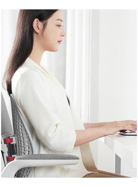 New Youpin Leband Adjustable ErgonomicK Back Support One-key