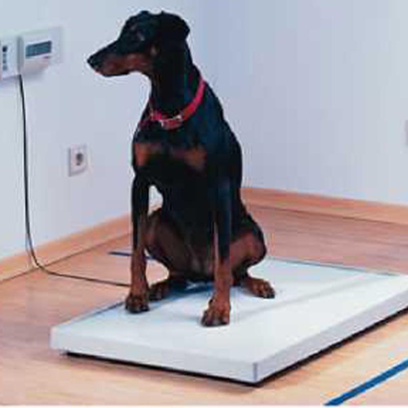 畜牧秤 宠货物电畜牧秤宠子秤 猪称小地磅现 电子牛秤3吨 称1吨