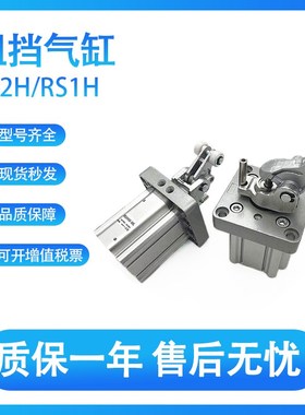 SMC RS2H80/RS1mH80/RSA-30-40DL DM BL BM TL TM-D重载阻挡气缸
