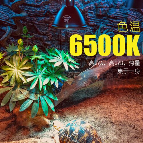 极速DH箱用爬虫金卤灯爬宠陆龟蜥z蜴仿日光全光谱UVA UVB高显色太