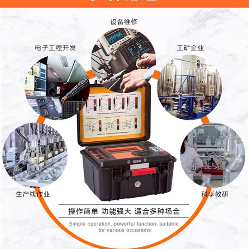 胜利VC9600/9600S高压绝缘B电阻测试仪 数字兆欧表绝缘电阻表摇表