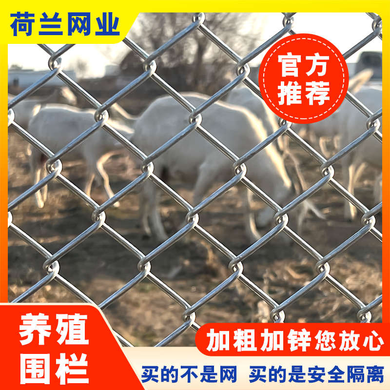 钢丝网养殖牛羊h网狗隔离护栏防护围栏镀锌铁丝网花养圈勾鸡网果