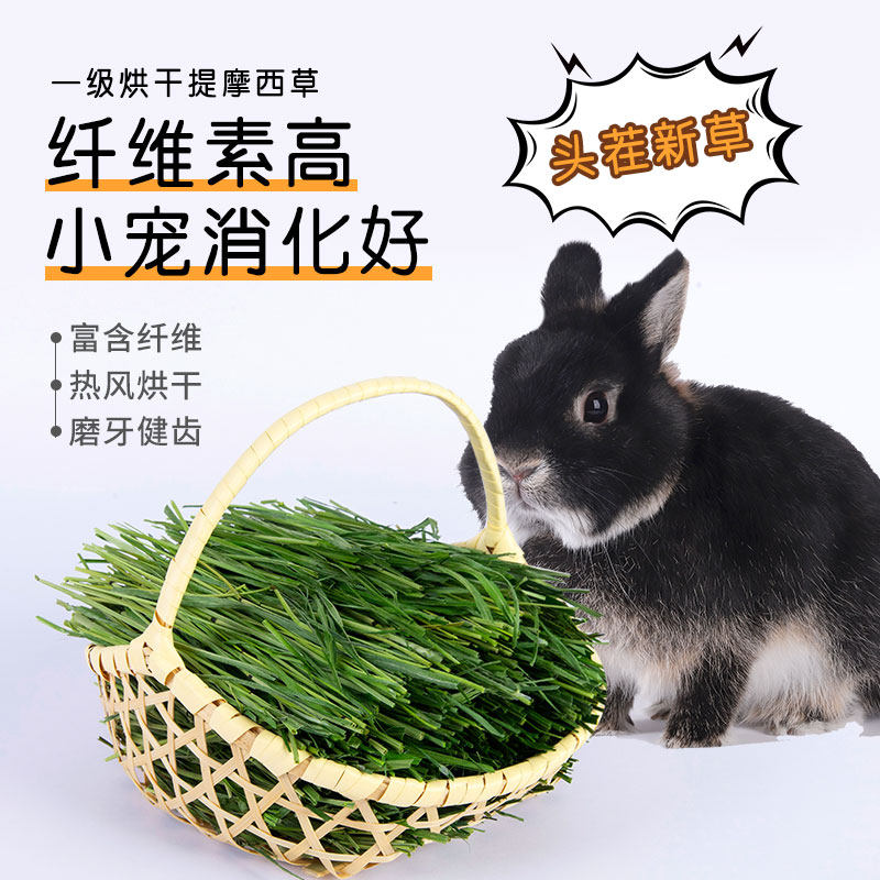 速发22年烘干提摩西草提木西兔粮饲料干草L兔子龙猫豚鼠荷兰猪牧
