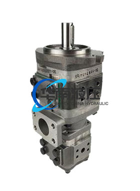 福伊特VOITH齿轮泵IPVP4/IPV4-13/B16/20/25/32-101/171注塑机油