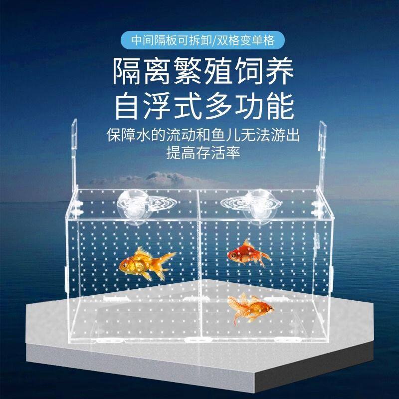斗鱼热带幼鱼孔雀鱼鱼苗繁育孵化盒亚克力鱼缸隔离盛放盒