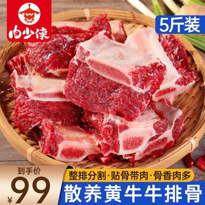 牛排骨5斤新鲜牛腩带肉整根