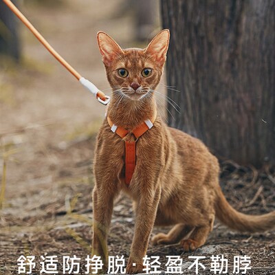 新品猫咪牵引绳子防p挣脱外出专用溜幼小猫宠物工字胸背可调节