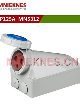 3孔125A工业插座 防水工业插x头插座 IP67 5312单相三线2P+E