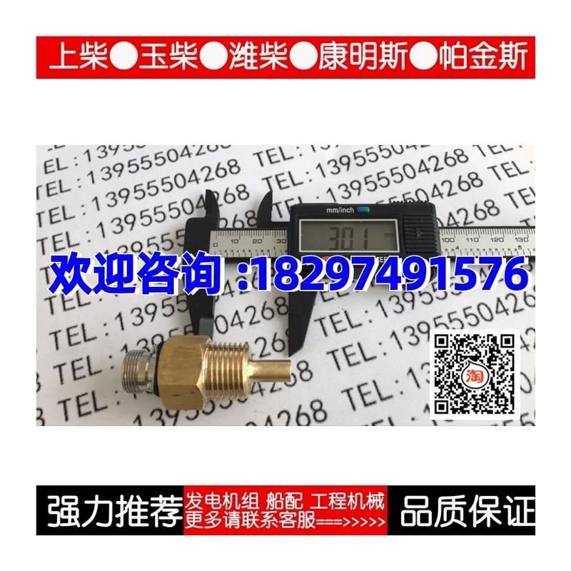 EDWDP-80恩达发电机R1z/2温度传感器PT100水温探头