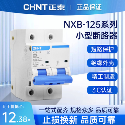 NXB-125空气开关家用总闸1P2P3P4P C100 断路器 大电流功率