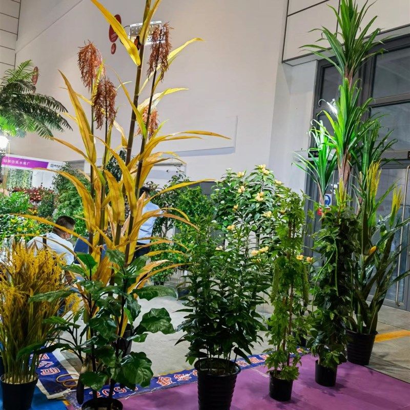 仿真蔬菜茄子h水果黄瓜苦瓜橱柜装饰摆设拍摄教学写真厂家,搬运/仓储/物流设备,电梯/传菜机/升降机/提升机,淘宝优惠券,粉丝福利购,淘宝优惠卷