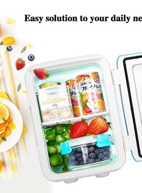 multi-use Car Freezer 4L Mini Fridge Refrigerator VDual Use