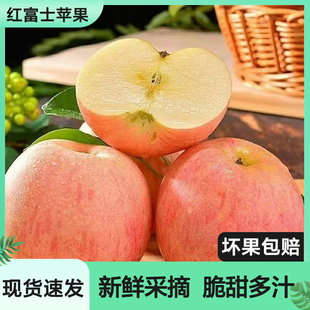 红富士苹果陕西延安红富士苹果水果新鲜应当季脆甜丑萍果整箱包邮