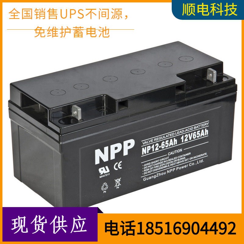 NPP耐普NP12-65机房备用12V6H太阳能ups直流屏用蓄电池.EPS电源