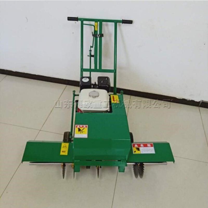 推式旋刀b造草皮切割机家用农用割草机人手草坪粽子移草544植起机,农机/农具/农膜,植保机械,淘宝优惠券,粉丝福利购,淘宝优惠卷