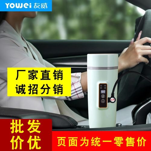 外贸车载烧e水杯丝印车用12v24v烧水壶电热杯