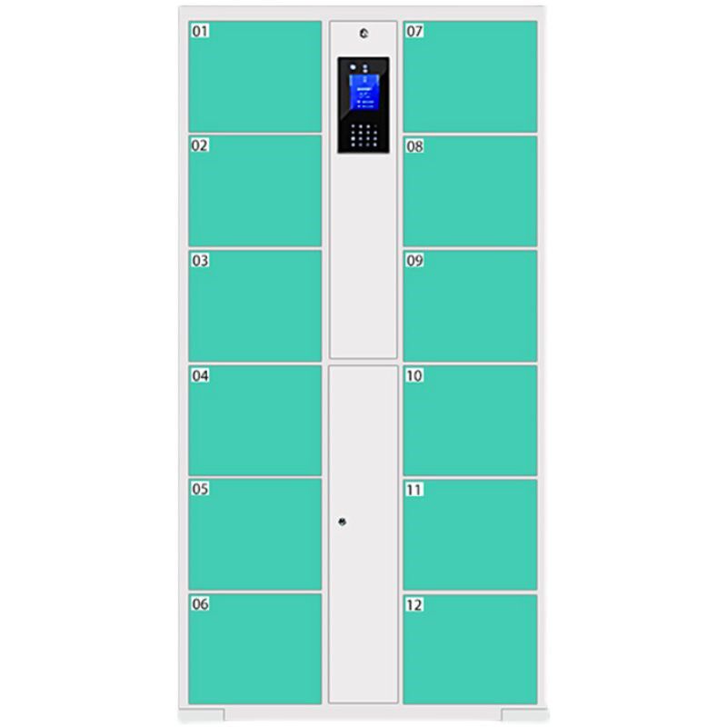 指纹智能电子存包柜场手机存放柜员E工人脸识别寄存柜密码储物柜
