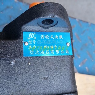 63E 齿轮泵 16E 31.5E 40KE 25E FE10E 20E F1L1 榆次液压 50E