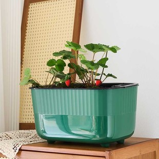 草莓盆栽专用盆长形花盆种花室内四D方长方型阳台种菜种植盆免浇