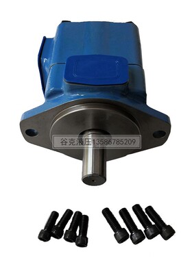极速新叶片泵d 油泵 25V21A高压 35V 45V50 注塑机鞋机 油压机液