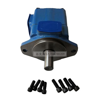 极速新叶片泵d 油泵 25V21A高压 35V 45V50 注塑机鞋机 油压机液