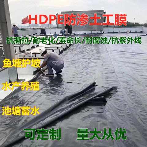 黑色膜鱼a塘防渗膜藕鱼池防水布沼气池膜水产畜牧农业养殖膜土工