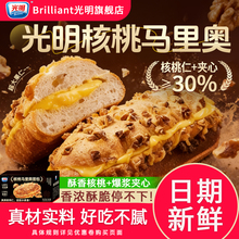 【光明官旗】核桃马里奥夹心面包整箱360g