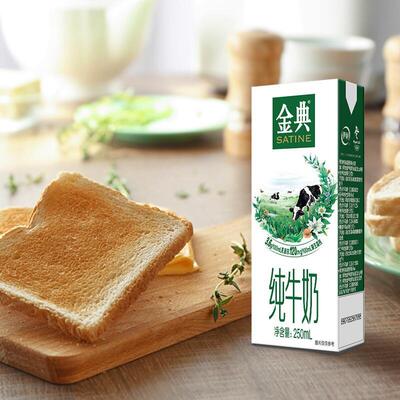 10月产纯牛奶伊利金典250ml*12盒24盒整箱装原生高钙成人早餐牛奶