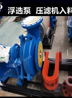 ZJW200-315B 压滤机入料加压泵 ZJH浮选机入料渣浆泵 卧式离心泵