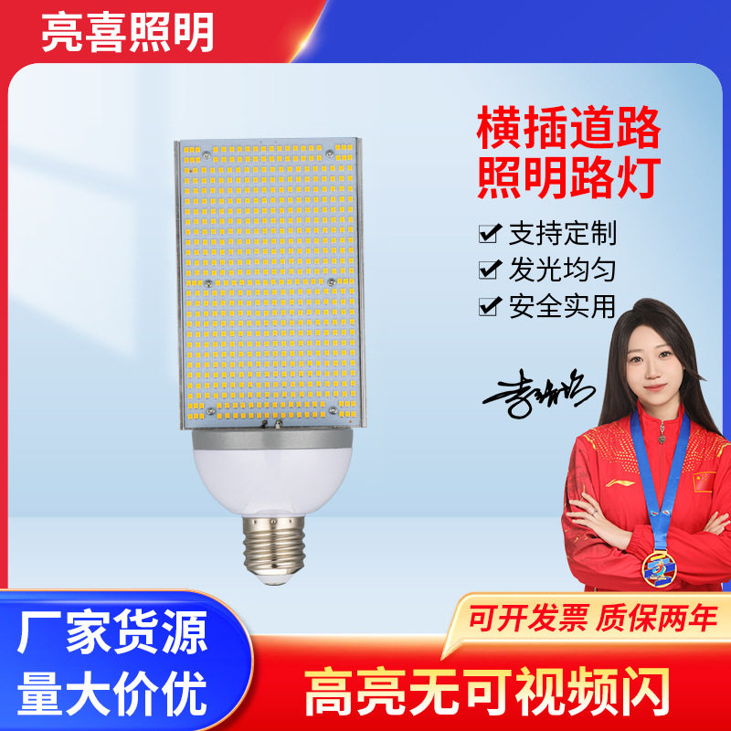 横插农村道路照明路灯LED光源E40螺口家用节能户外照明庭院灯具