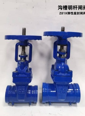 蓝色 沟槽明杆闸阀Z81X-16Q弹性座封 卡箍闸阀DN50-DN300