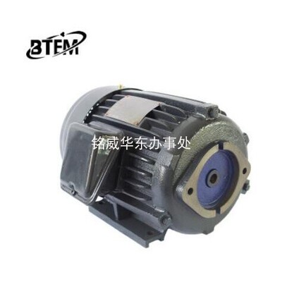 BTEM油泵电机3-PHASE INDUCTION MOTOR 马达电动机0.75KW 1.5KW