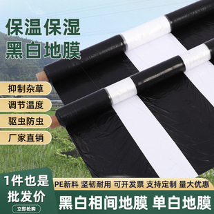 地膜农用黑白相间地膜双白单白地膜大棚膜塑料薄膜保湿除草种地