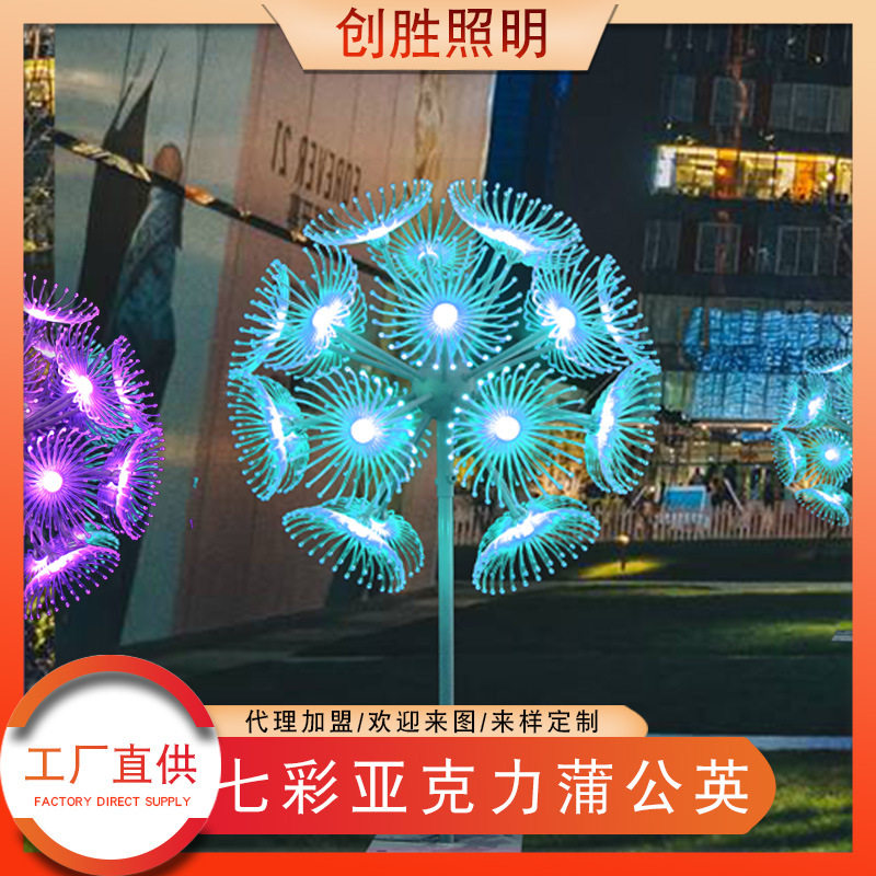 批发七彩LED蒲公英地插灯