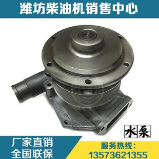 W力0P柴油发动机10潍柴264000动61原厂426128010陕汽配件水泵6130