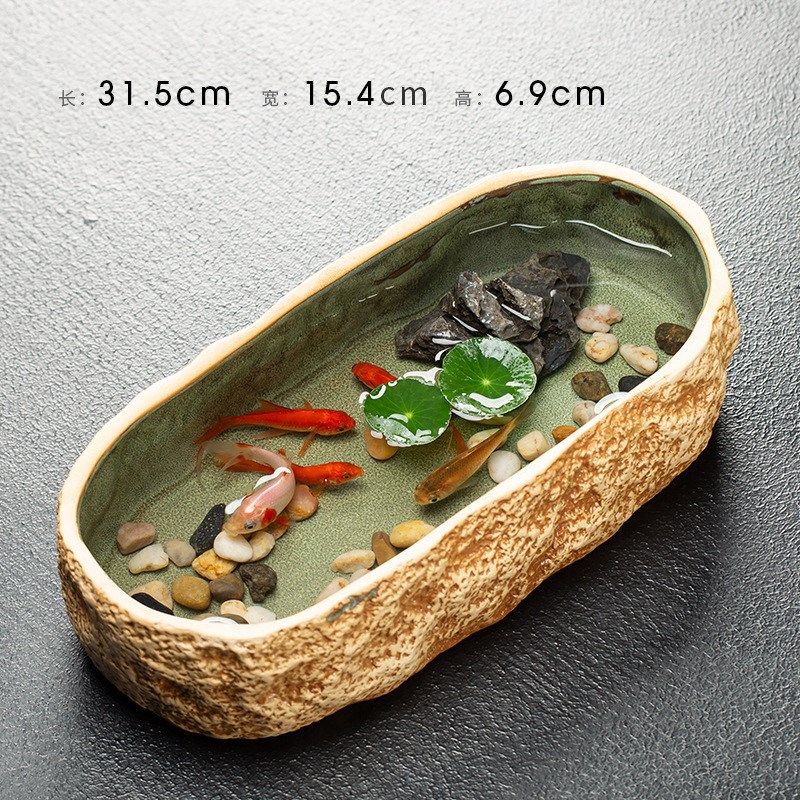 铜钱草盆大号古法阳n台养鱼缸客厅小型睡莲水培器皿池生态乌龟缸